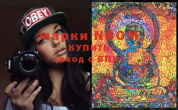 гидра Горняк