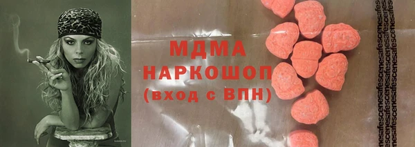 гидра Горняк