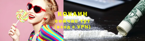 гидра Горняк