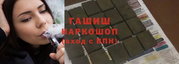 гидра Горняк