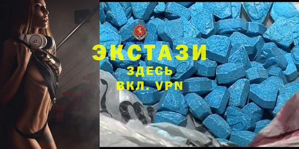 гидра Горняк