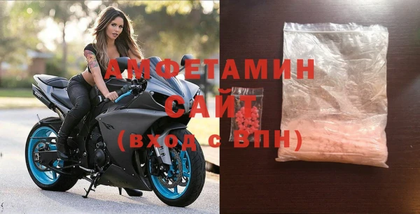 гидра Горняк