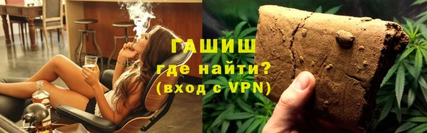 гидра Горняк