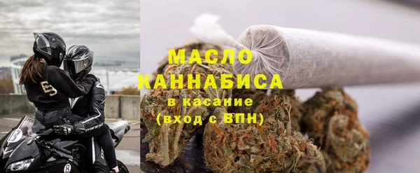 гидра Горняк